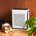 Maximize Your Home’s Air Quality with a High-Quality 2-Inch Air Filter That Boosts HVAC Efficiency
