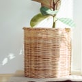 Do Air Purifiers Really Work? A Comprehensive Guide