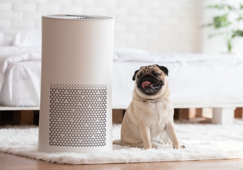 What is the Best Air Purifier for Rooms?