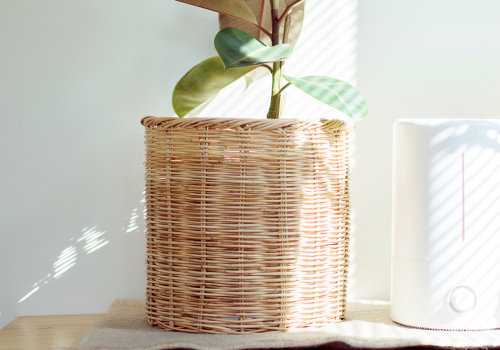 Do Air Purifiers Really Work? A Comprehensive Guide